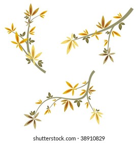 Branch design set in a single style, vector illustration series.