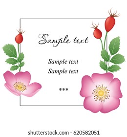 Branch of a dogrose, frame for your text