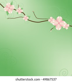 Branch with Dogwood looking blossoms. svg