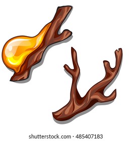 A branch dripping with resin isolated on a white background. Vector illustration.
