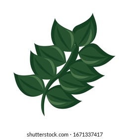 branch with ecology leafs foliage nature icon vector illustration design