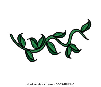 branch with ecology leafs plant vector illustration design