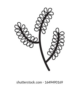 branch with ecology leafs plant vector illustration design