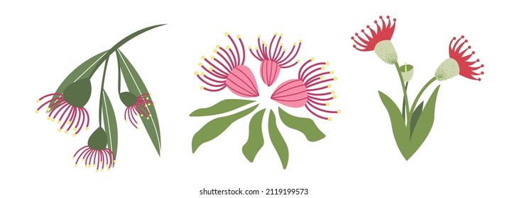 Branch Eucalyptus flower. Pink flower hand-drawn on a white isolated background. Decorative botanical element. A colorful flowering plant. Vector illustration in doodle style. svg