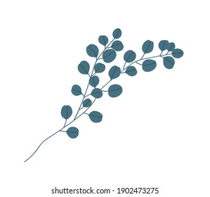 Branch of eucalyptus gunnii isolated on white background. Elegant greenery for decoration. Botanical floral element. Monochrome flat vector illustration