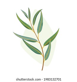 Branch of eucalyptus tree. Flat vector colorful illustration.