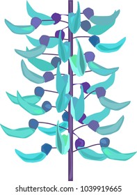 A branch of an exotic blooming creeper