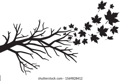 branch with falling leaves vector