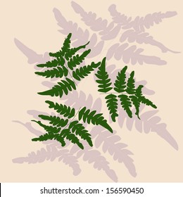 branch of fern