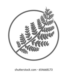 branch of fern in the circle