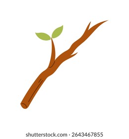 branch flat design illustration isolated 