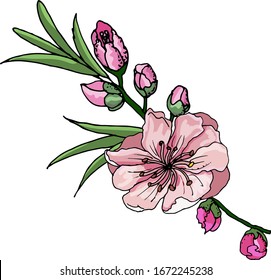 A branch with flower buds and a blooming peach flower elements