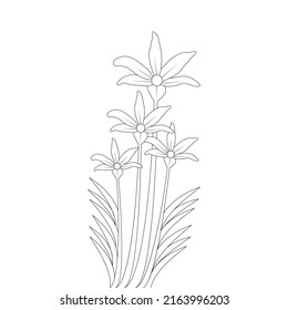 Branch Flower Coloring Book Page Drawing Stock Vector (Royalty Free ...