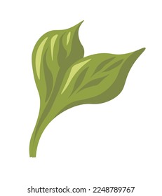 Branch of flower, isolated spring or summer plant part. Foliage and leafage, decoration for greeting card. Vegetation and revival of nature, natural biodiversity and blossom. Vector in flat style