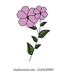 branch with flower and leafs