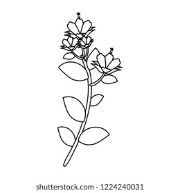 branch with flower and leafs