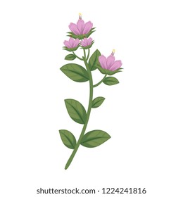branch with flower and leafs