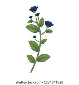 branch with flower and leafs