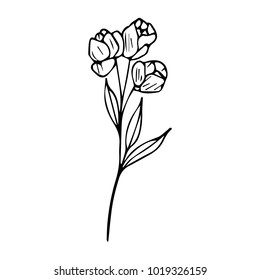 Branch flower with leaves vector illustration. Doodle style. Design, print, decor, textile, paper