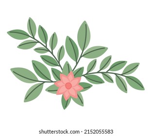 branch with flower over white