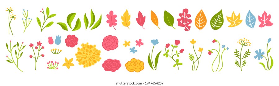 Branch and flower rose botanical green set. Abstract different beautiful floral design elements. Colorful flat floral cartoon eco collection. Beautiful isolated greens leaf. Vector illustration