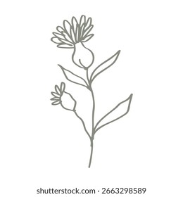Rama del elemento de boceto de resorte de flor