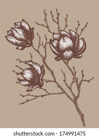Branch of a flowering plant