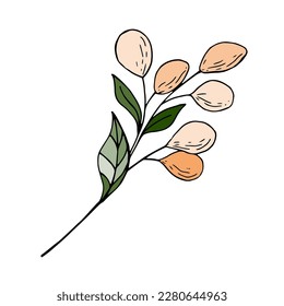 A branch of a flowering tree with buds. Hand drawn botanical illustration. Vector image.