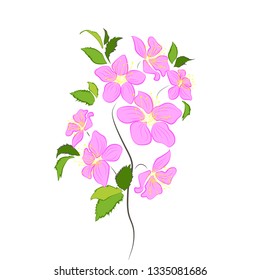 Branch of a flowering tree with butterflies. Spring, bloom.
