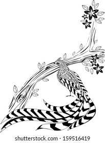 A branch of a flowering tree and Reeves's Pheasant