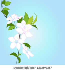 Branch of a flowering tree. Spring, bloom.