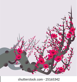 branch with flowers