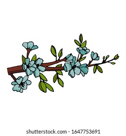 branch with flowers. drawing vector illusrtation.  isolated vector