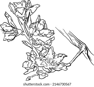 branch, flowers, hand draw. Black vector illustration art