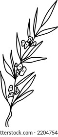 branch with flowers illustration. Hand-drawn doodles illustration. Line art. Icon