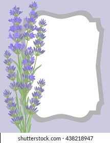 Branch of flowers of lavender. The background for the text label of the packaging the card with lavender flowers.