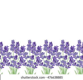 Branch of flowers of lavender. The background for the text label of the packaging the card with lavender flowers.