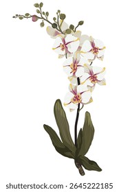 Ramo de flores em fundo branco. O elemento é isolado em um fundo branco. Design para impressão em cartões, convites