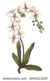 Rama de flores sobre fondo blanco. Elemento está aislado sobre un fondo blanco. Diseño para imprimir en tarjetas, invitaciones