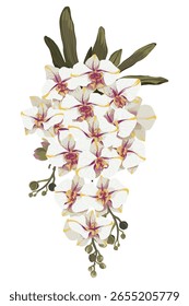Ramo de flores em fundo branco. O elemento é isolado em um fundo branco. Design para impressão em cartões, convites
