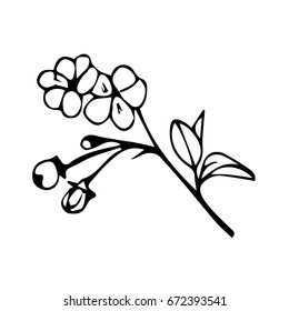 Branch with flowers on white background vector illustration. Doodle style. Design icon, print, logo, poster, symbol, decor, textile, paper, card. 