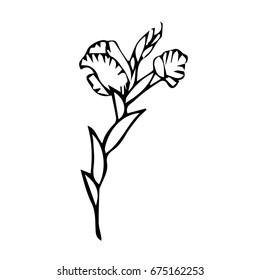 Branch with flowers on white background vector illustration. Doodle style. Design icon, print, logo, poster, symbol, decor, textile, paper, card. 