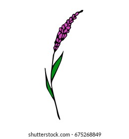 Branch with flowers on white background illustration. Doodle style. Design icon, print, logo, poster, symbol, decor, textile, paper, card. 