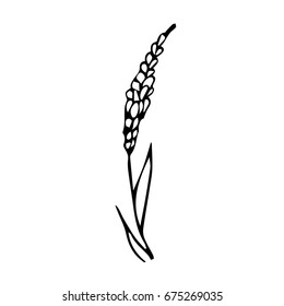 Branch with flowers on white background illustration. Doodle style. Design icon, print, logo, poster, symbol, decor, textile, paper, card. 