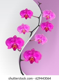 Branch flowers of the Orchid Pink. Vector Illustration. EPS10