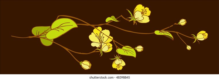 Branch of Flowers , spring is come