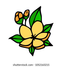 Branch with Flowers vector illustration