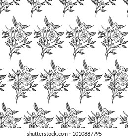 Branch with flowers vector illustration. Doodle style. Design, print, logo, decor, textile, paper.