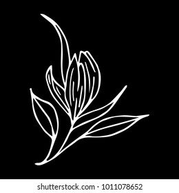 Branch with flowers vector illustration. Doodle style. Design, print, logo, decor, textile, paper.