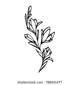Branch with flowers vector illustration. Doodle style. Design, print, decor, textile, paper